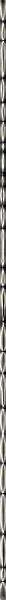 bar5.gif